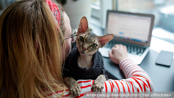 В трех городах России ограничили скорость домашнего интернета