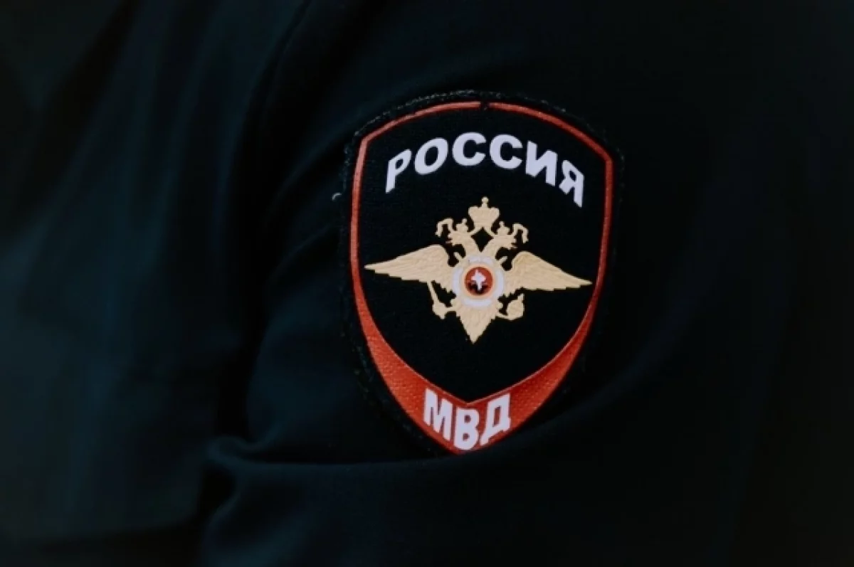 МВД РФ предупредило о рассылке аферистами фишинговой ссылки в BlaBlaCar