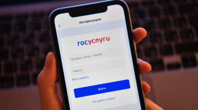 Экономист Суетин: цифровой профиль на «Госуслугах» влияет на безопасность данных