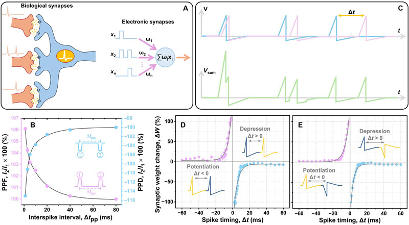 Британские учёные отказались от канонического мемристора и совершили прорыв в аналоговой памяти
