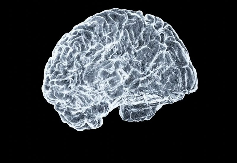 Китайские мозговые импланты на три года отстают от американских Neuralink