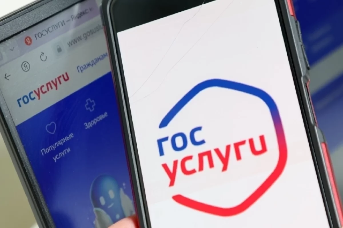 На «Госуслугах» с 2026 года введут уведомления о поиске пропавших людей